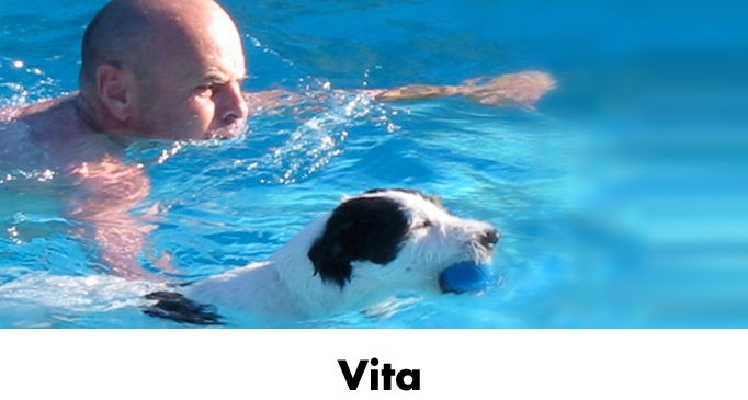 Gerd Lohner Text und Konzeption Vita